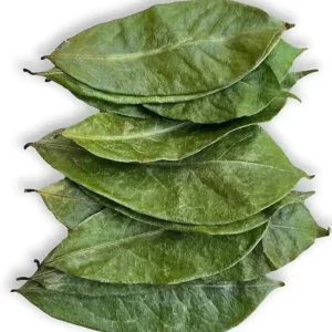 Sour Sop Dehydrated Leaves